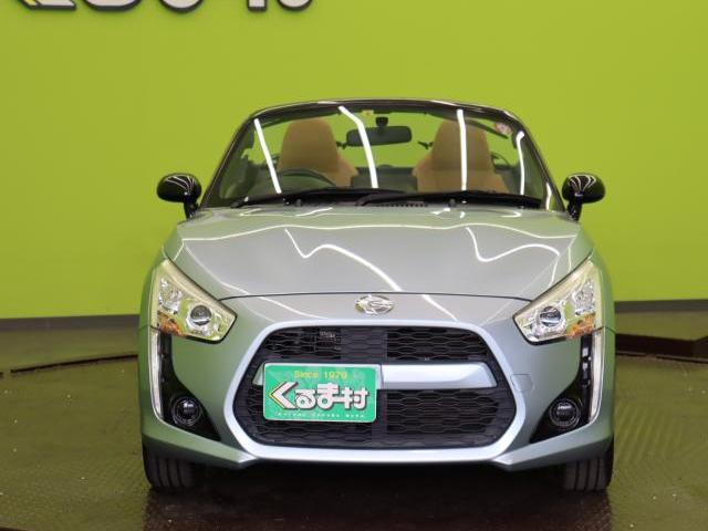 20882311_carP_l_20.jpg