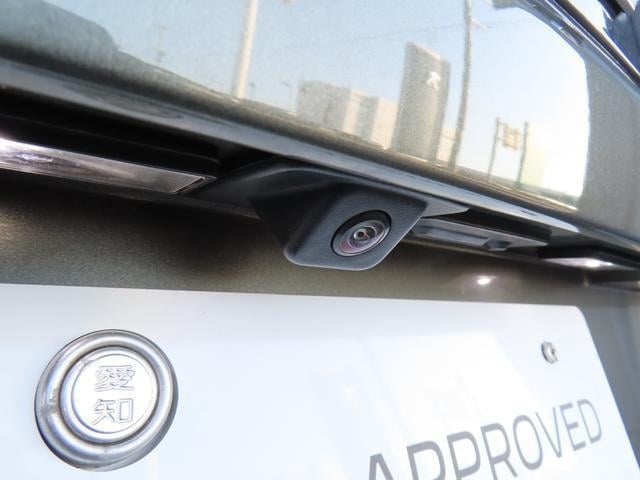 20905341_carP_l_11.jpg