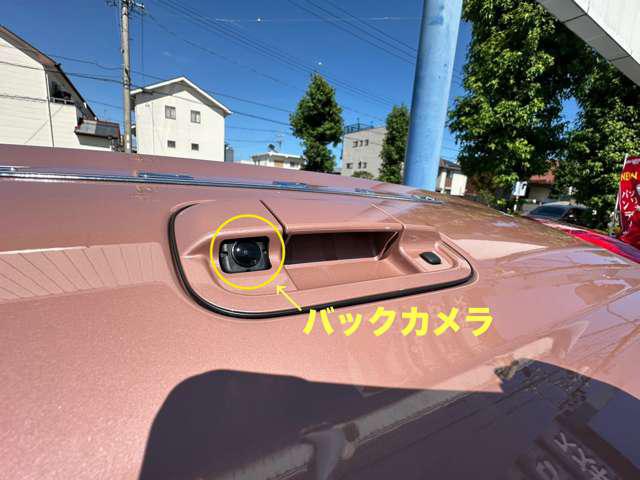 03ec922073ba436bab05cbf6dc67b2d3.jpg