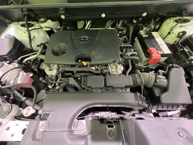 ced8fca7d9673652535665e19fd3789e.jpg