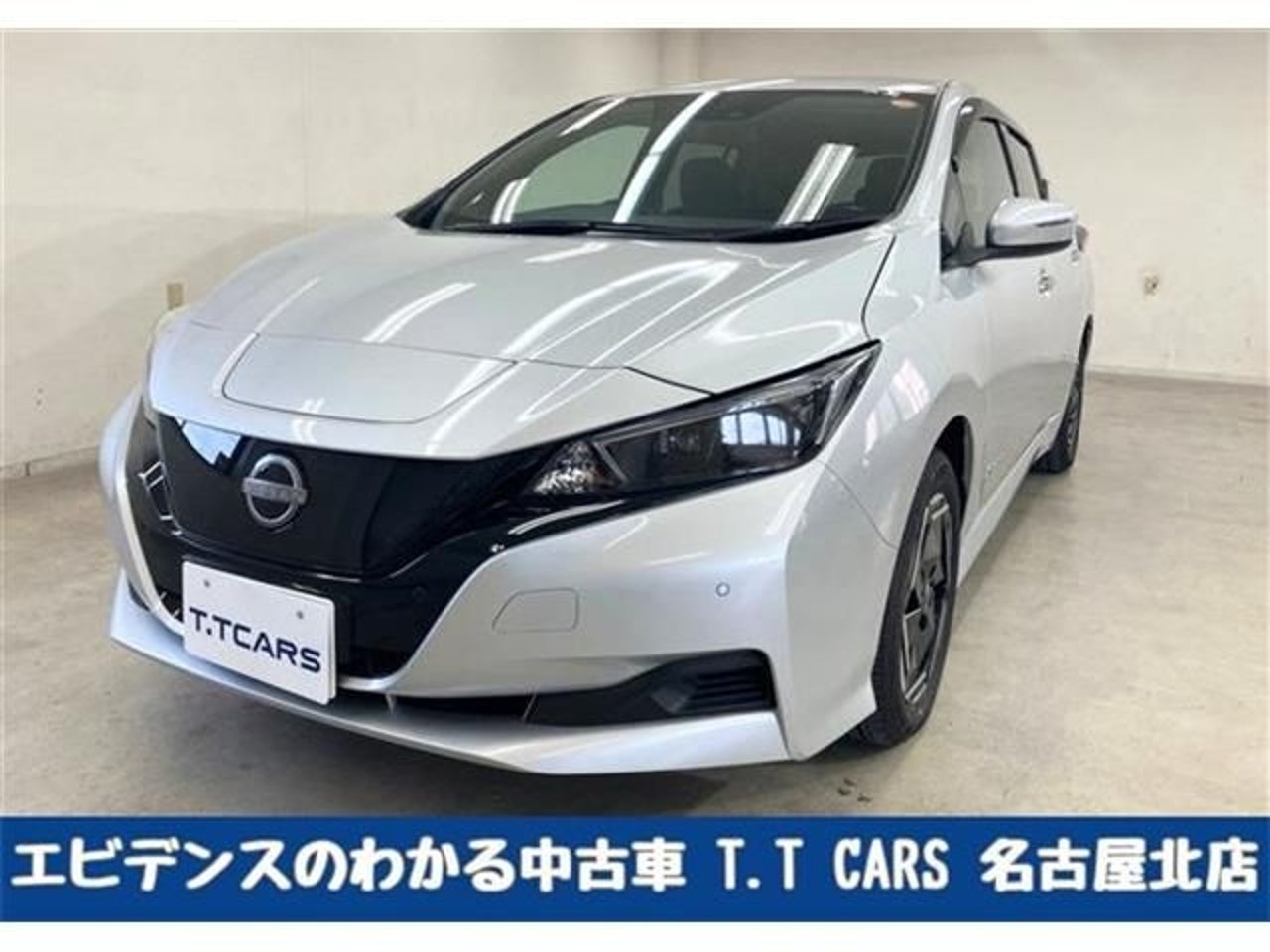 2025 Nissan Leaf Standard for sale in Kenya