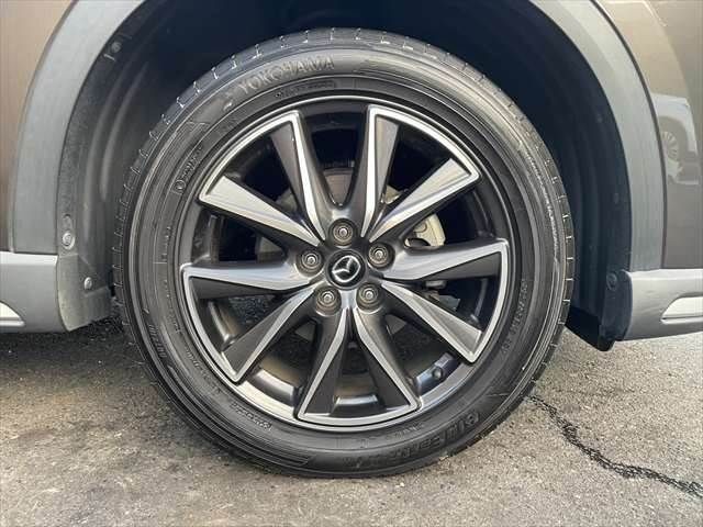 d967ce76eca22ae02948e7171fc9e1f9.jpg