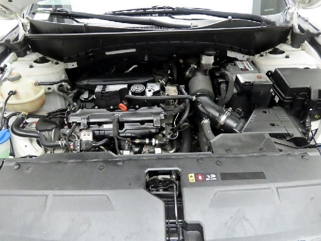 ade135ed0f2a53fe0596556283640483.jpeg
