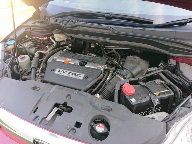 22689165_carP_l_9.jpg