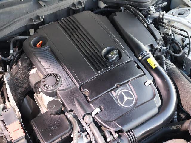 22213920_carP_l_13.jpg