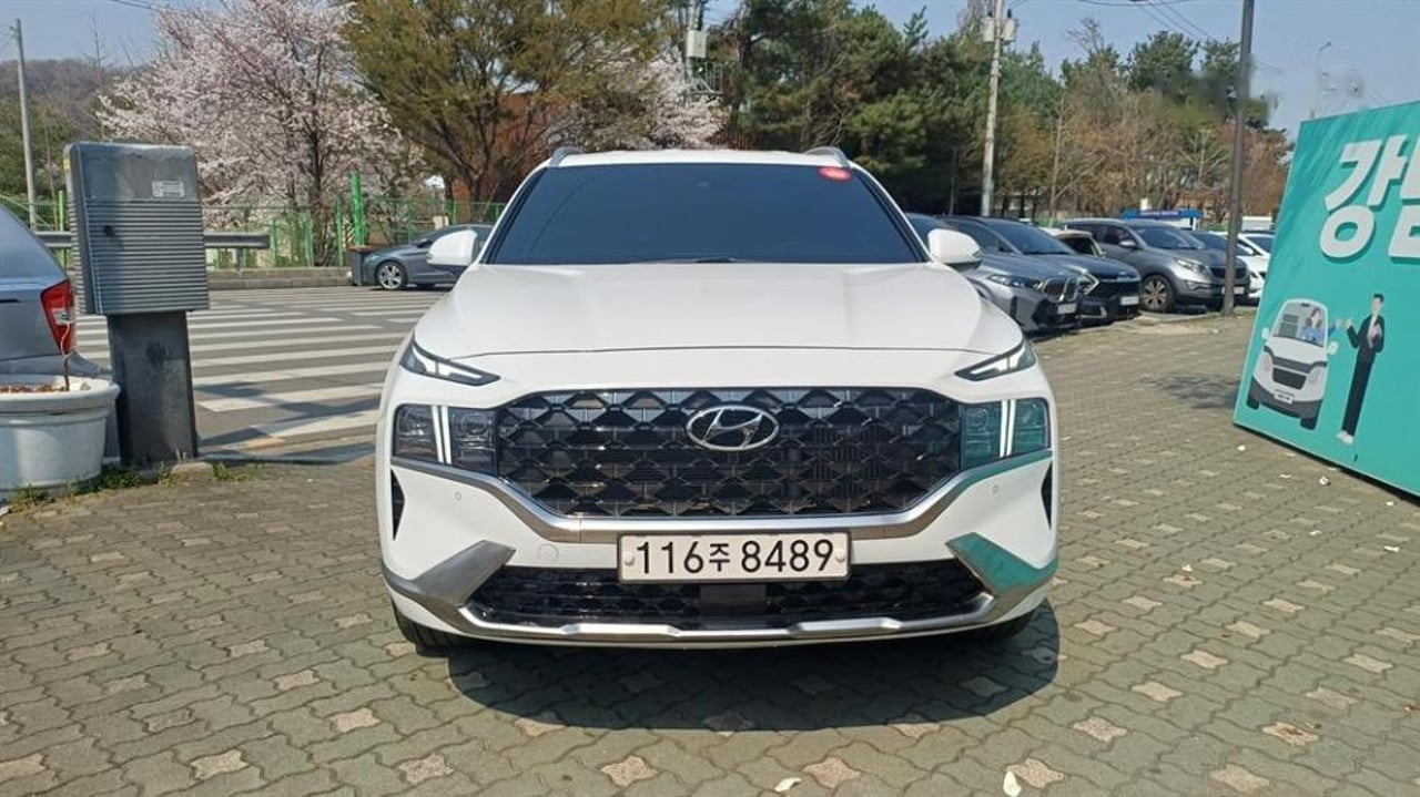 2022 Hyundai Santa, photo 1 of 1