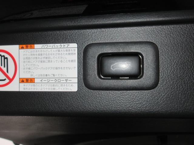 0403618A30260406W00105.jpg
