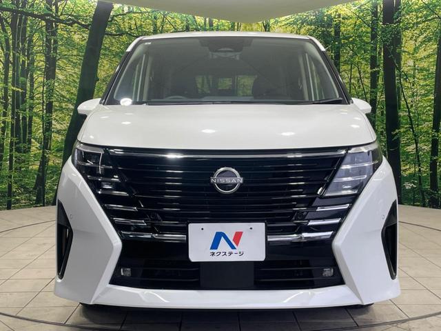 22467912_carP_l_9.jpg