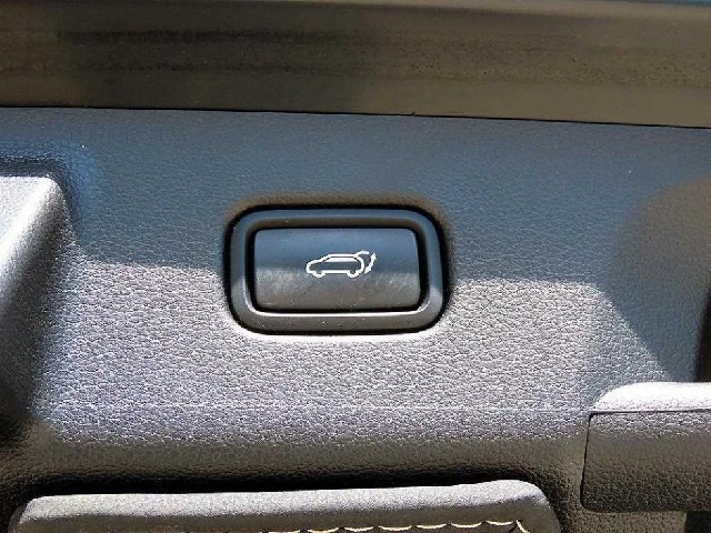 fa9d08408a6c0d64c0fa0ae3e79d1477.jpeg