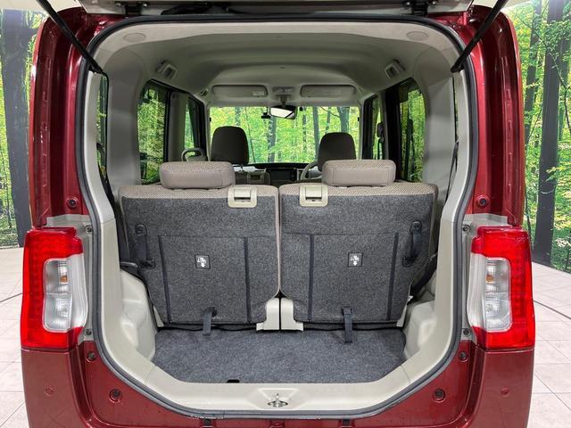 22563283_carP_l_7.jpg