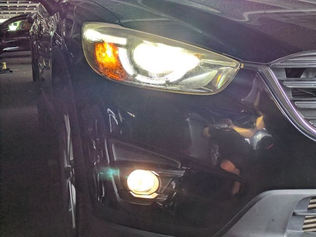 25.jpg