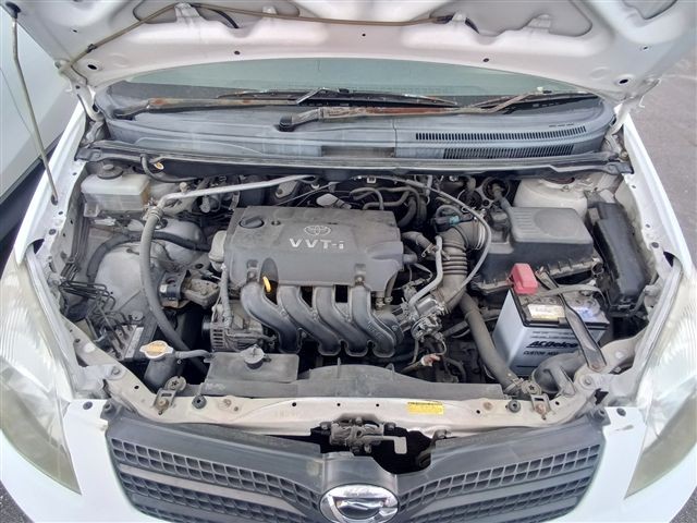 08.jpg