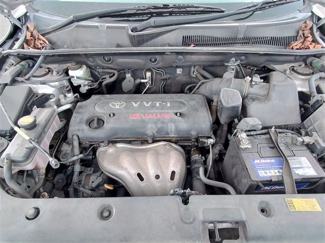 08.jpg