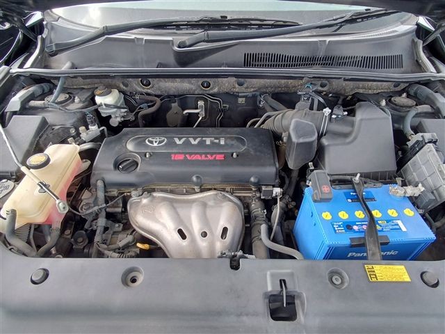 08.jpg