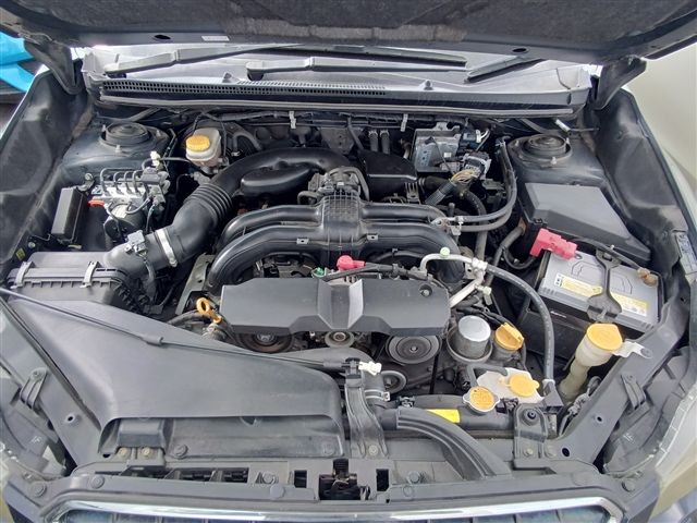 08.jpg