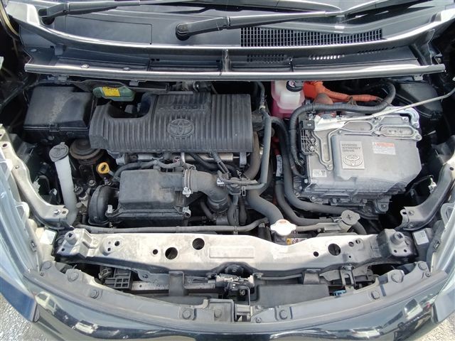 08.jpg