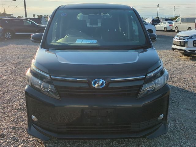 38.jpg