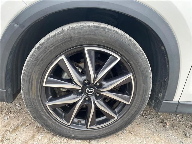 18.jpg