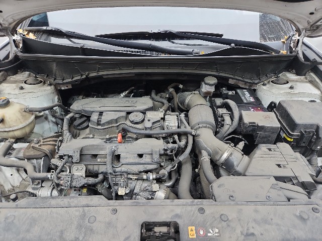 lotterental_160209218_aXE5d_9.jpg
