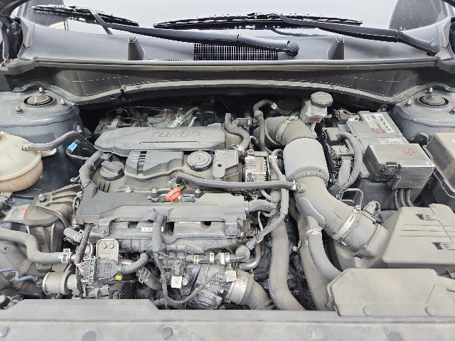 lotterental_100115839_I3kT8_10.jpg