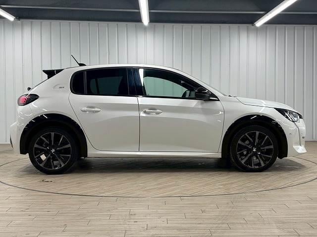 20655437_carP_l_9.jpg