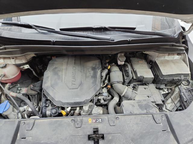 lotterental_164430202_QQ5Qm_2.jpg