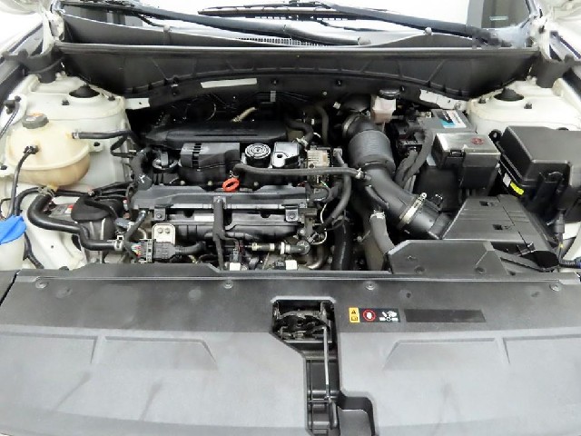 d244d35620eebec45b8e7492df328223.jpeg
