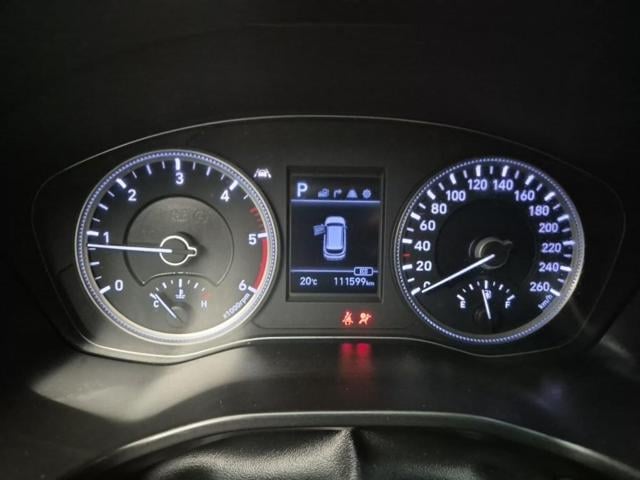 5041500954R6.jpg