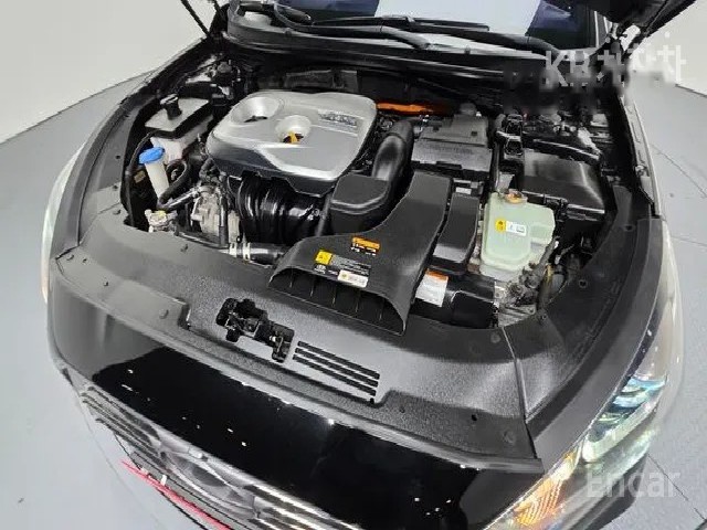f264e6a9827d7a6b3552bfee302cdf3c.jpeg