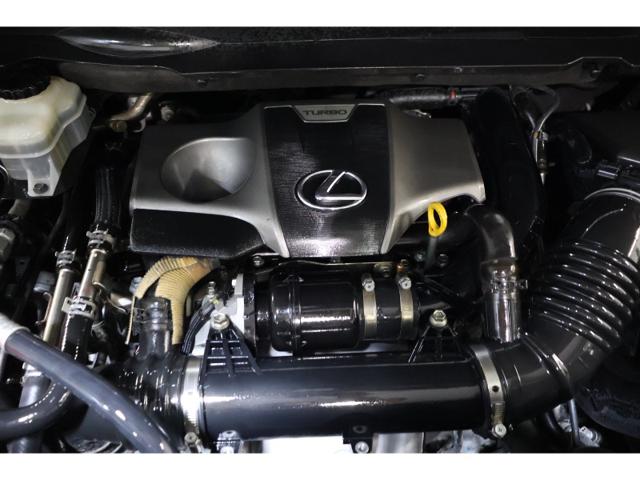 3b50845aefb3abaa3bf18aa772ef2aab.jpeg