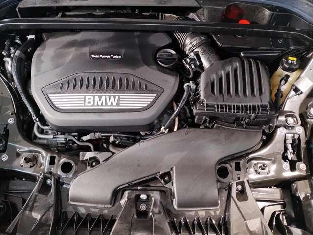21923366_carP_l_6.jpg
