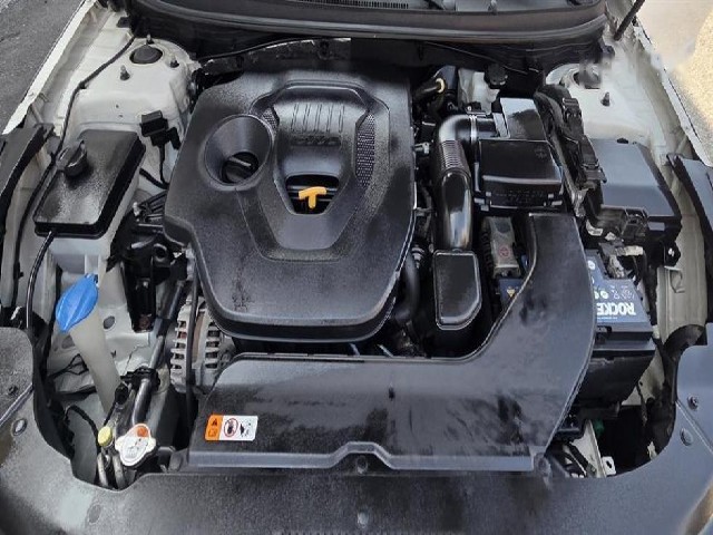 f59e0d880143dc039f201b217ad55963.jpeg