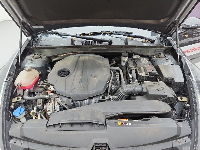 lotterental_100413587_b2XYV_8.jpg