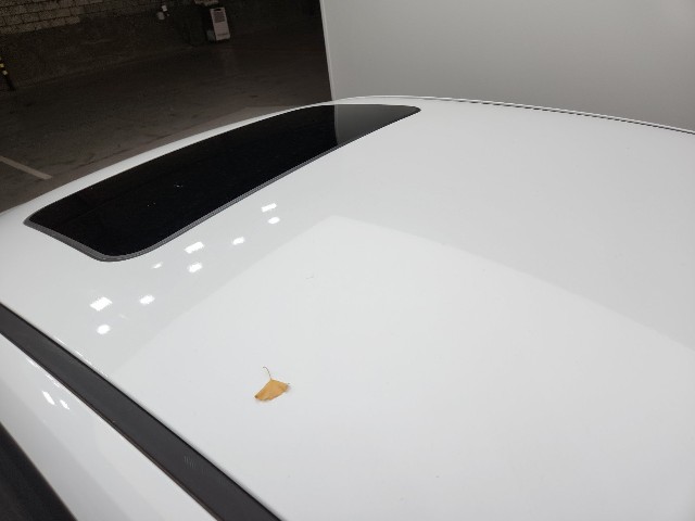 lotterental_10015955_eMIt5_6.jpg