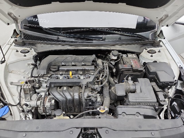 lotterental_100206149_LzLGM_7.jpg
