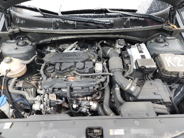 lotterental_101126686_oQFcz_9.jpg
