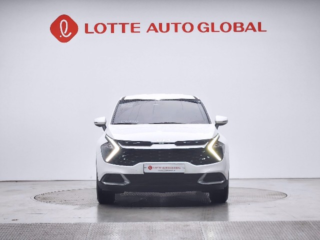 lotterental_152709258_lOXhP_1.jpg