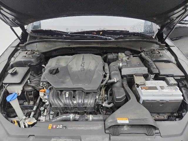 lotterental_205731676_bCSt7_8.jpg