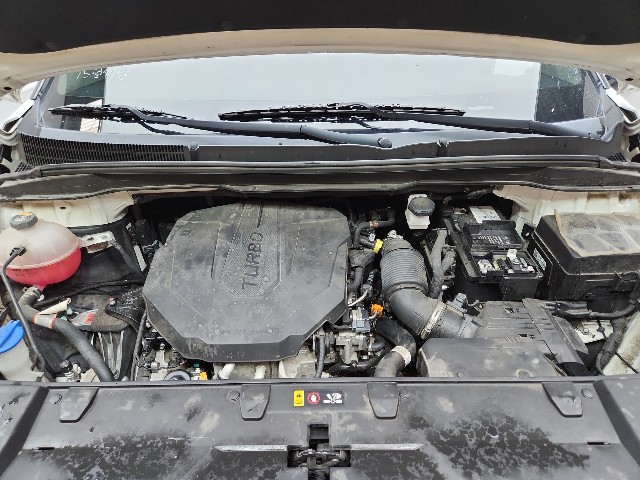 lotterental_145606786_cKShM_1.jpg