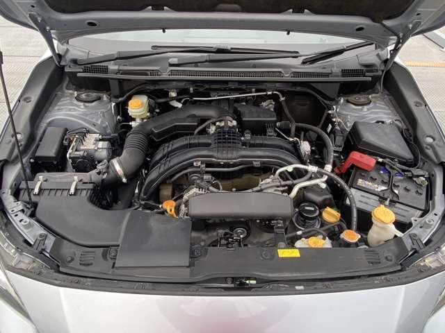 22350621_carP_l_15.jpg