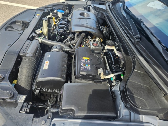 b10adbed24730b5671f146ab392fae95.jpeg