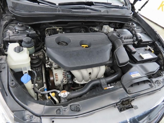 e5d9556fab352fc6be918d337127666d.jpeg