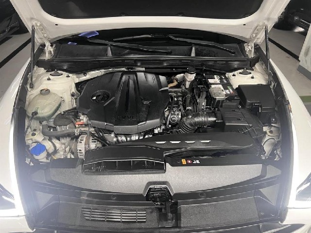 ff0784c5073a57e64cceb2200b39db0d.jpeg