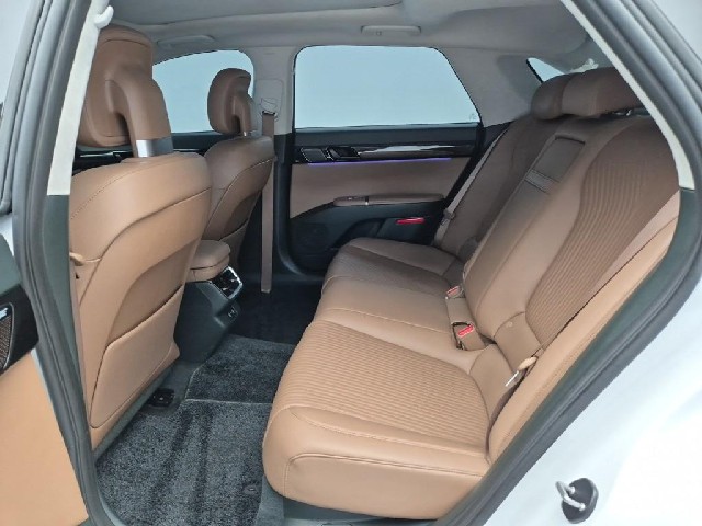 6101500695R12.jpg
