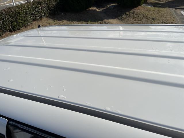 22150951_carP_l_17.jpg