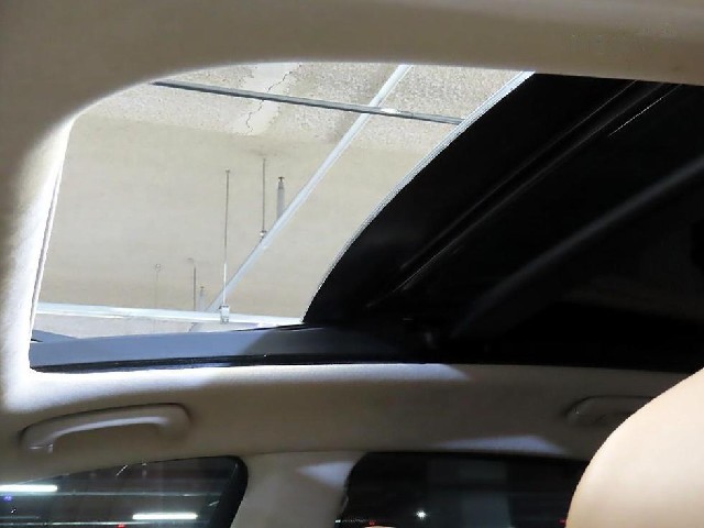 14170fc56771cc7b2bbd61adf4e65ca3.jpeg