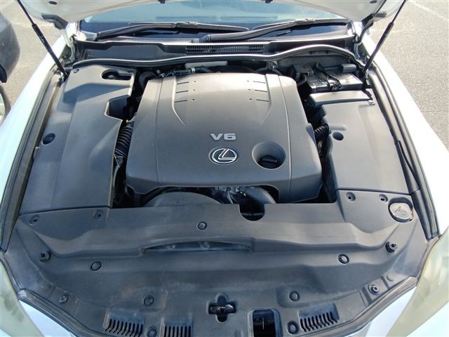 08.jpg