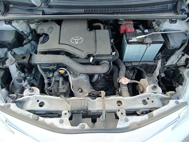 08.jpg