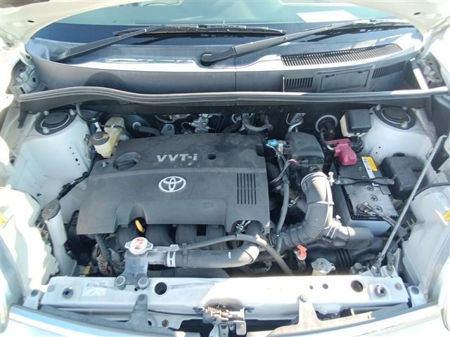 08.jpg