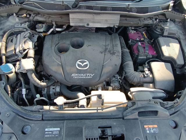 08.jpg